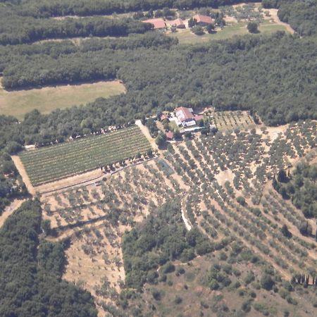 B&B Ca' Morino Verona Dış mekan fotoğraf