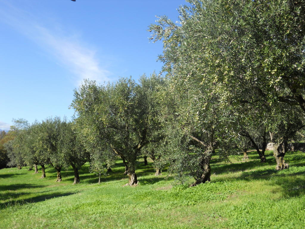 B&B Ca' Morino Verona Dış mekan fotoğraf