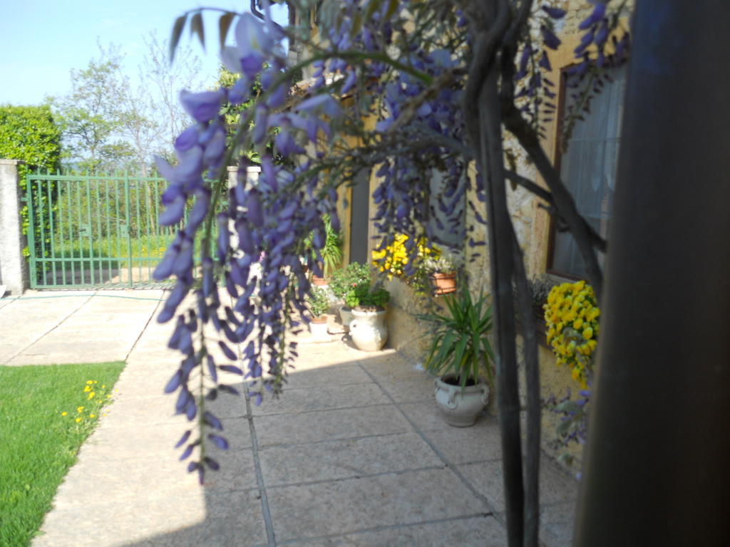 B&B Ca' Morino Verona Dış mekan fotoğraf